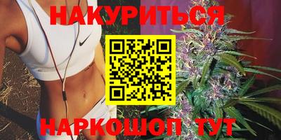 шишки Обь