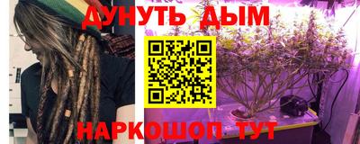 шишки Обь