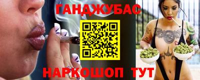 шишки Обь