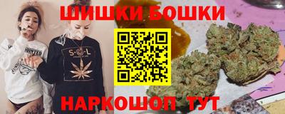 шишки Обь