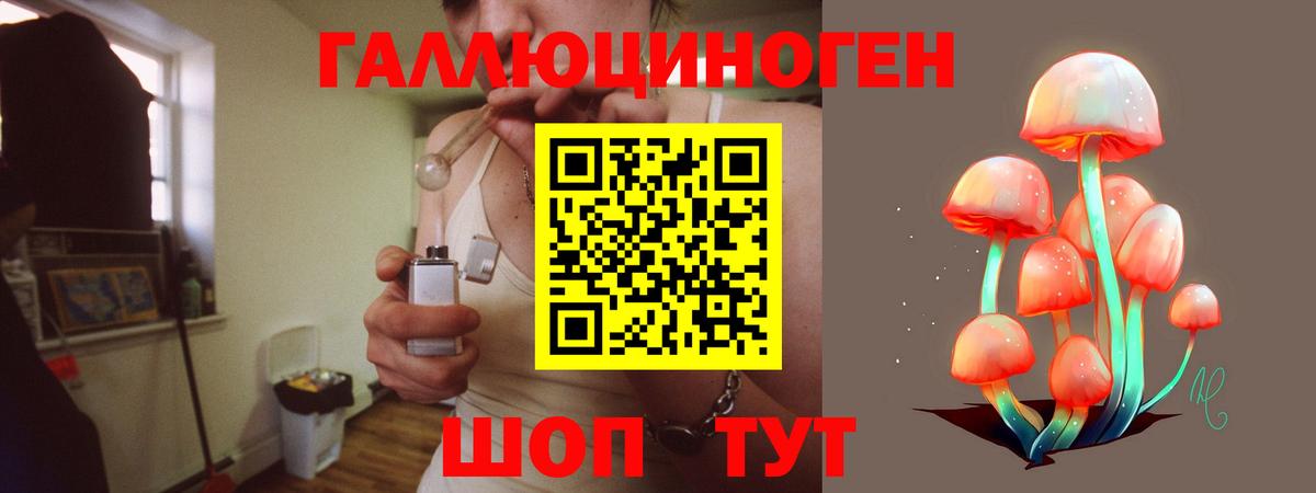 Галлюциногенные грибы MAGIC MUSHROOMS  Вход с VPN  Тимашёвск  закладка  Галлюциногенные грибы GOLDEN TEACHER 